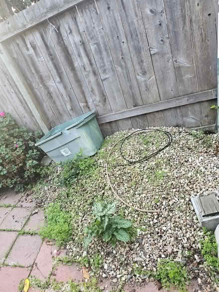 Photo of free Garden Rocks (Sunnyvale) #1