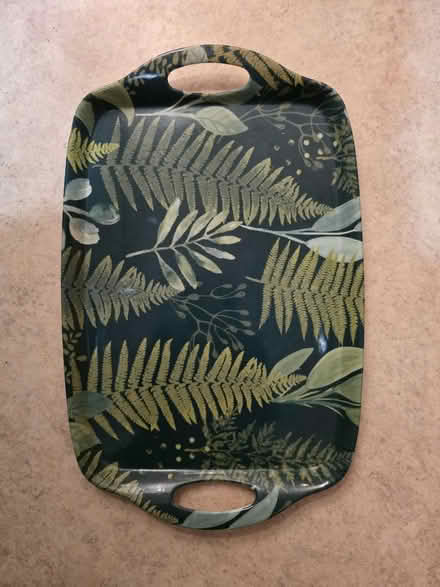 Photo of free Melamine Serving Tray (Central Lancaster, LA1) #1