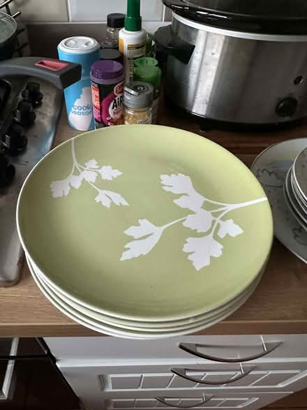 Photo of free Plates, unicorn plates as well. (GU14) #1