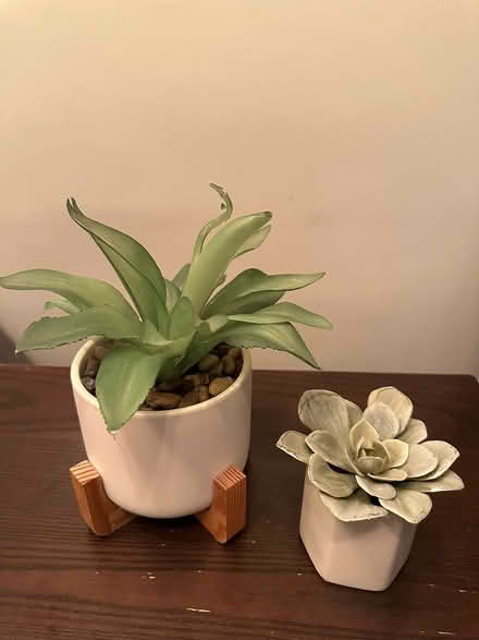 Photo of free Faux Desktop Plants Set (Upper East Side) #1
