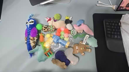 Photo of free Job lot of used cat toys (Streetly B74) #1