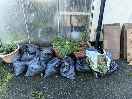 Photo of free Concrete paving slabs (Totnes follaton) #3