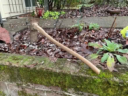 Photo of free Hoedag, tree planting tool (Tigard, Oregon) #2