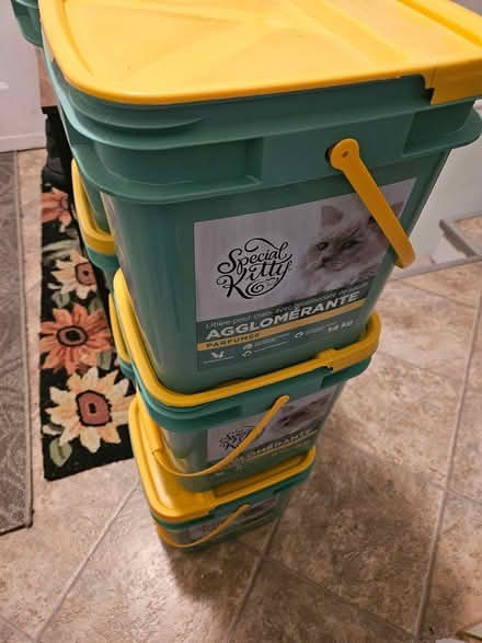 Photo of free 3 big empty cat litter containers (Near the experimental farm) #1