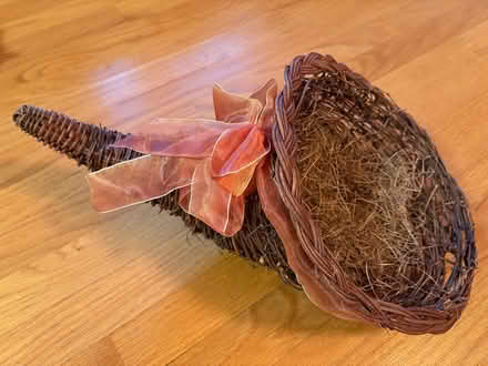 Photo of free Horn of plenty (Queensway Terrace South) #1