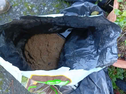 Photo of free Concrete paving slabs (Totnes follaton) #2