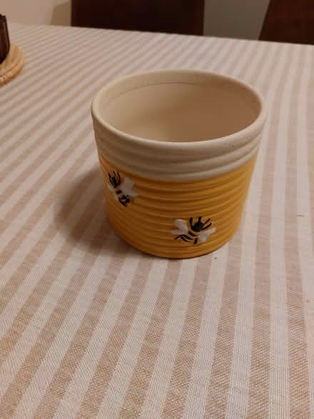 Photo of free Plant pot (Southsea PO4) #1