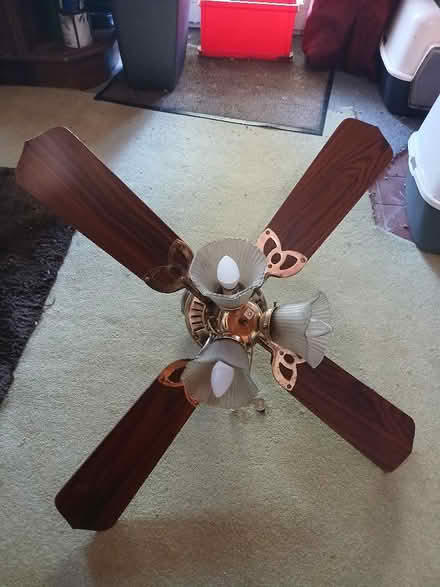 Photo of free Ceiling light with reversible fan (Blakenall WS3) #1