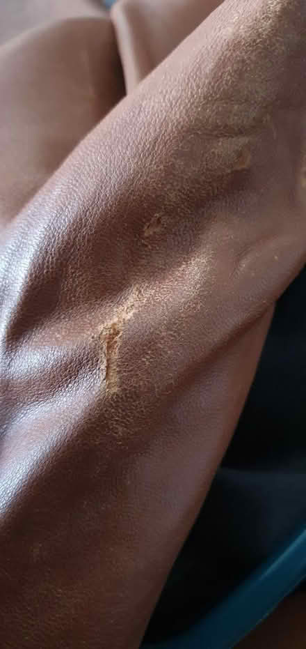 Photo of free Ladies leather jacket (ME7, Gillingham) #3