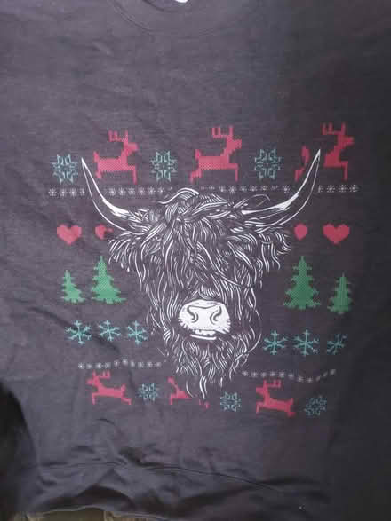 Photo of free Yule goat Xmas jumper (Shirley SO15) #1