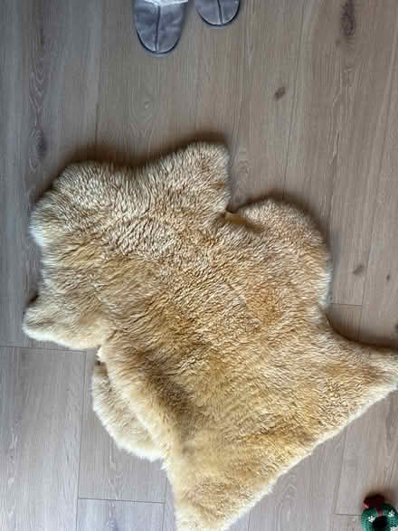 Photo of free IKEA fur rug (Harrow HA7) #1