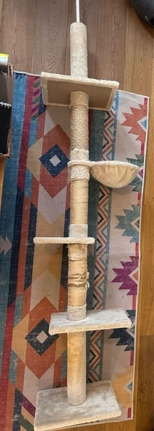 Photo of free Tall cat tower (East Dulwich) #2