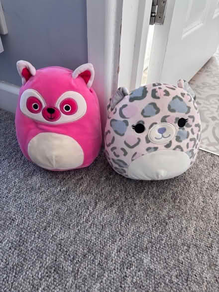 Photo of free Squishmallows (Southdown) #1