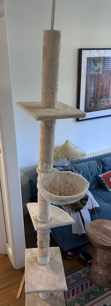 Photo of free Tall cat tower (East Dulwich) #3