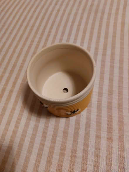 Photo of free Plant pot (Southsea PO4) #2