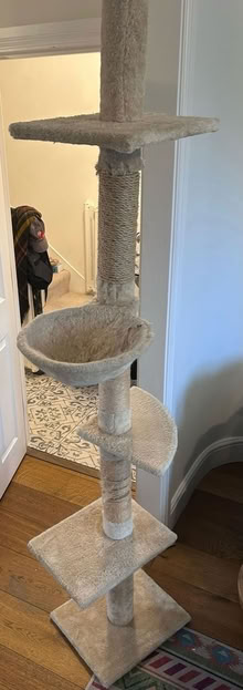 Photo of free Tall cat tower (East Dulwich) #4