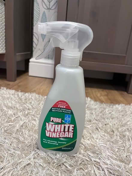 Photo of free vinegar spray (Hale End IG8) #1