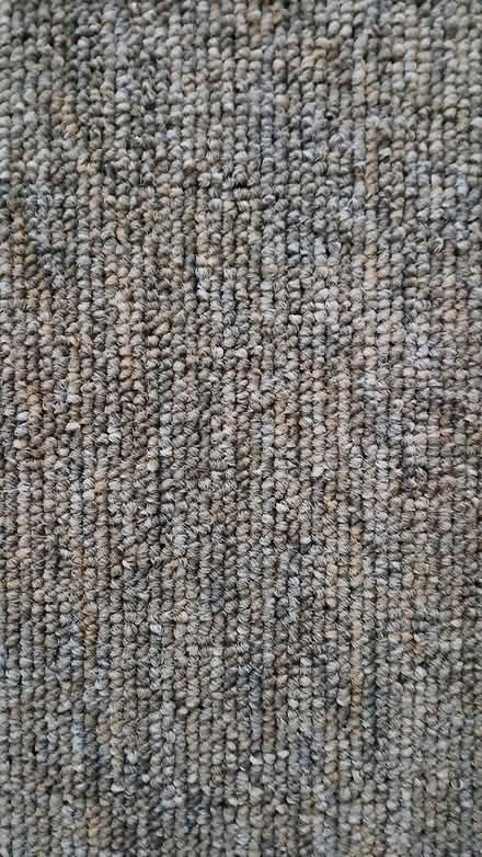 Photo of free Hard wearing carpet off cut (Armitage WS15) #2