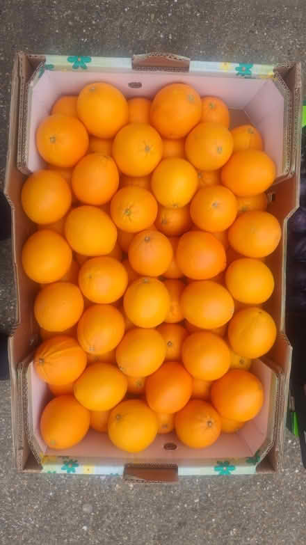 Photo of free Lots of fresh fruit and vegetables (E14 Isle of Dogs) #4