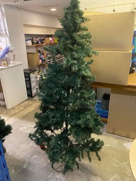 Photo of free Christmas Trees (Henley-on-Thames RG9) #1