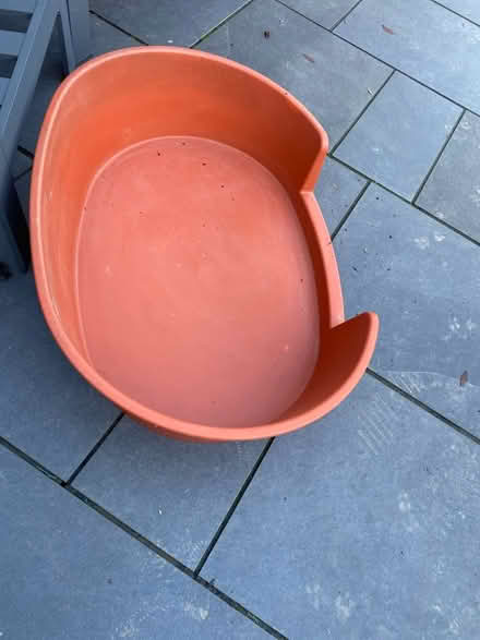 Photo of free Large dog bed (Forest green) #1