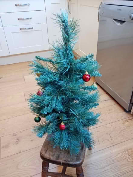 Photo of free Little Christmas Tree (Garden City OX5) #1