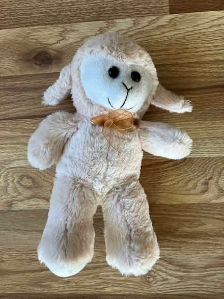 Photo of free New toy & books (Lakewood Village) #1