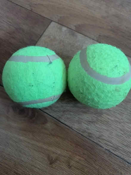 Photo of free Tennis Ball (Kingston Upon Thames KT1) #1