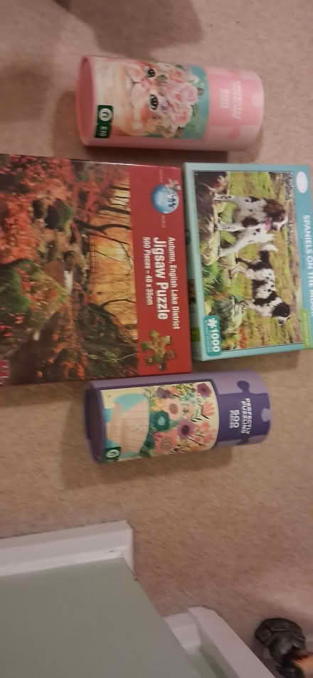 Photo of free 9 jigsaw puzzles (Wigmore LU2) #2