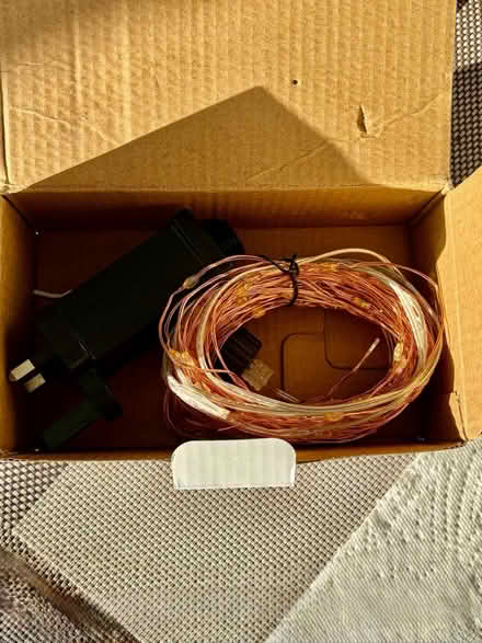 Photo of free Christmas Tree Lights (Stanford-le-Hope SS17) #2