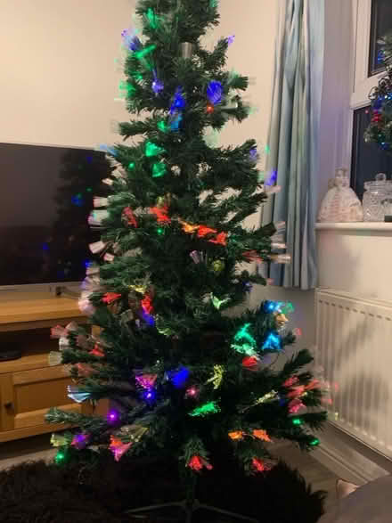 Photo of free 6ft fibre optic Christmas tree (Leasowe CH45) #1