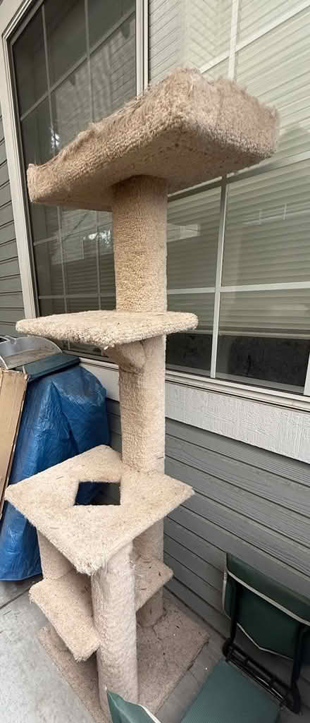 Photo of free Tall cat tree (Cupertino (near Stevens Cr)_) #2