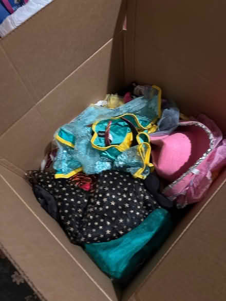 Photo of free Box of costumes (1st St & Veirs Mill Rd) #1