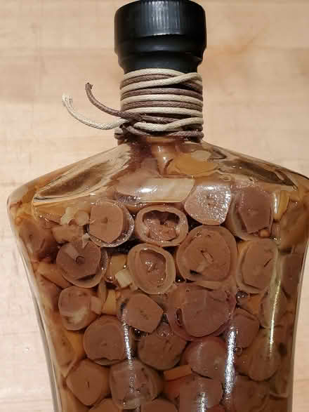 Photo of free Decorative Glass Bottle (Mooney's Bay) #3