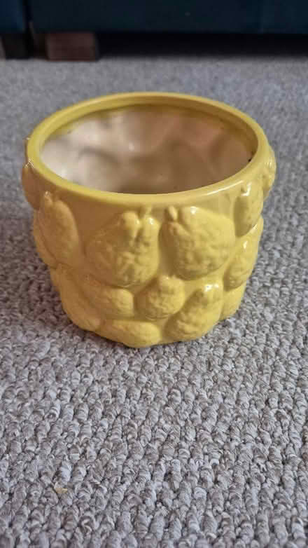 Photo of free Yellow plant pot (Figge's Marsh CR4) #3