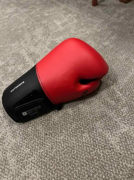 Photo of free Freestanding punch bag and pair of gloves (Latchford WA4) #2