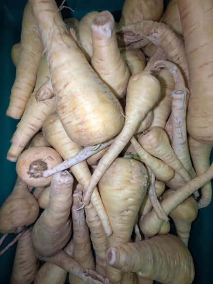 Photo of free Vegetables and fruit (E14 Isle of Dogs) #3