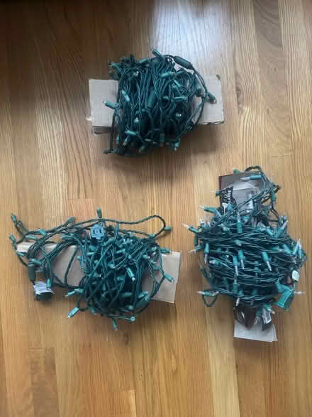 Photo of free Tree lights (Watertown) #1