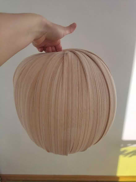 Photo of free Bamboo shade (Se5) #2