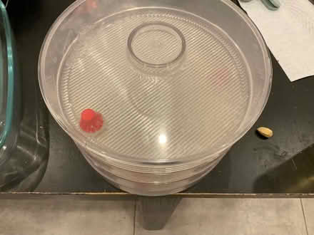 Photo of free Germinator, sprouts/ shoots maker (Hampstead, mw3) #1