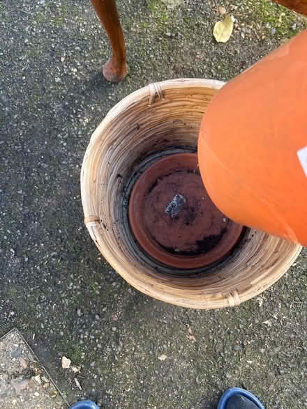 Photo of free Bamboo/rattan plant pot (N1) #2