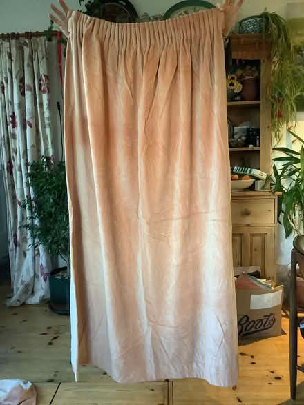 Photo of free pinkish velvet curtains (Bear Flat) #1