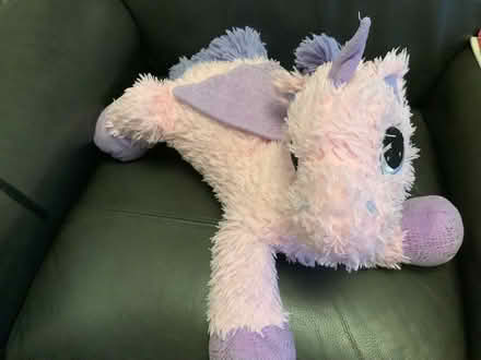Photo of free Unicorn (Great Harwood) #1