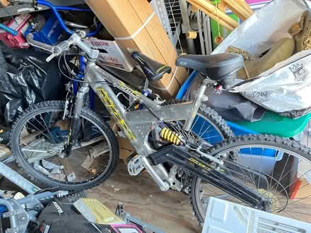 Photo of free Mongoose (Oradell) #1