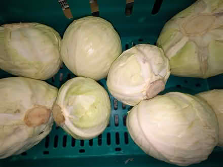 Photo of free Vegetables and fruit (E14 Isle of Dogs) #4