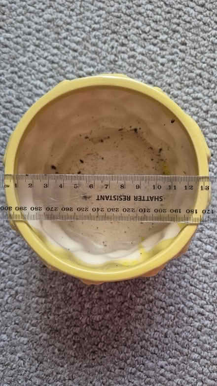 Photo of free Yellow plant pot (Figge's Marsh CR4) #4