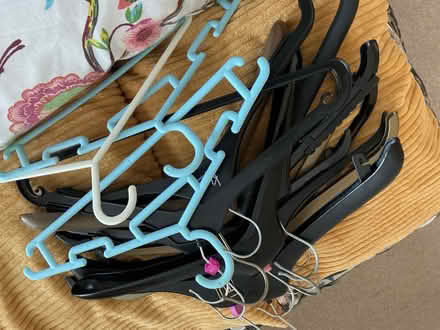 Photo of free Plastic coat hangers (Seaford BN25) #1
