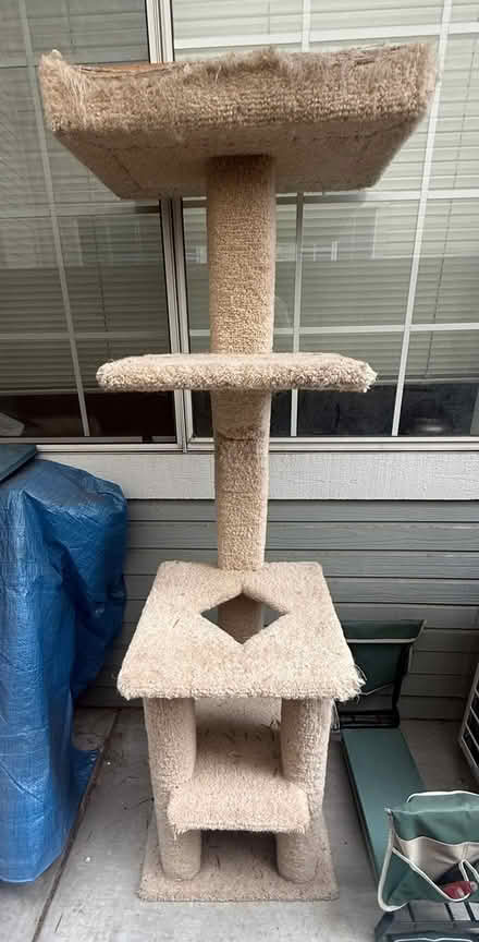 Photo of free Tall cat tree (Cupertino (near Stevens Cr)_) #3