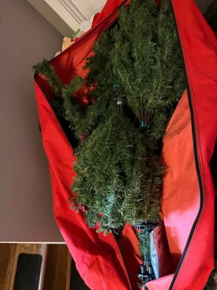 Photo of free Christmas Tree- No lights (Ellicott City) #1