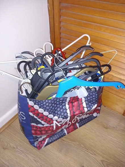 Photo of free Bag of kids & adult hangers (Wivenhoe CO7) #1